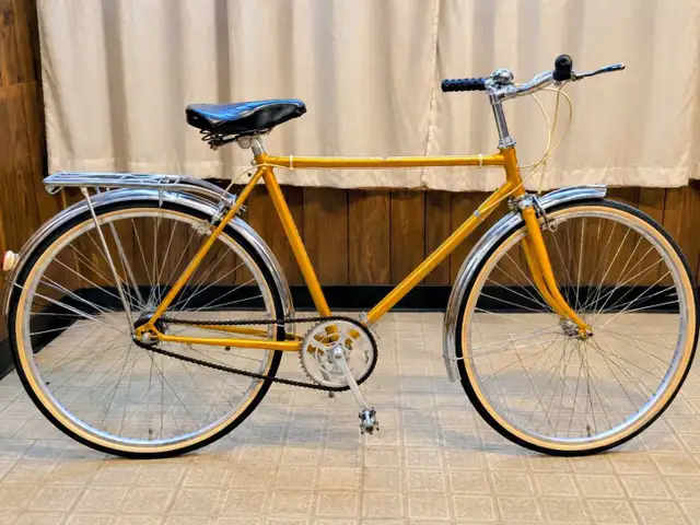 Supercycle 3-speed cruiser Vintage