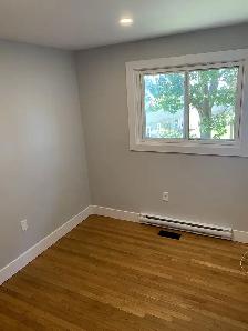 26-105 Bright apartment on a quiet Dartmouth Street - Photo 11