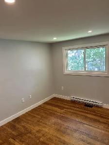 26-105 Bright apartment on a quiet Dartmouth Street - Photo 12