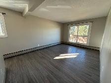 1 Month Free! Pet-Friendly 3rd Floor Living on Michener Hill! - Photo 4