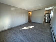 1 Month Free! Pet-Friendly 3rd Floor Living on Michener Hill! - Photo 5