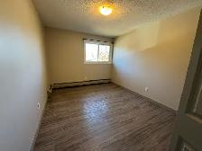 1 Month Free! Pet-Friendly 3rd Floor Living on Michener Hill! - Photo 6