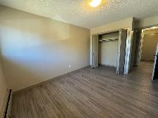 1 Month Free! Pet-Friendly 3rd Floor Living on Michener Hill! - Photo 7