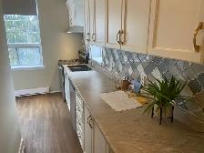 CARNOEVAR HOUSE -1 BDRM Suite Available Now! - Photo 8