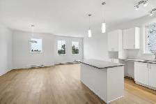 3 CHAMBRES À AYLMER | LA CROISÉE | 2 025 $ – DISPONIBLE - Photo 11