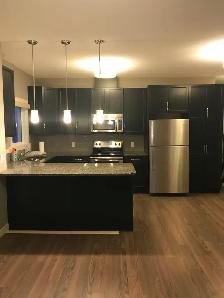 2 Bed 2 Bath Condo Larkspur Aspen - Photo 2