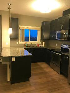 2 Bed 2 Bath Condo Larkspur Aspen - Photo 3