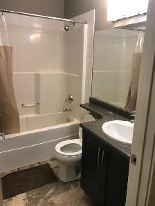 2 Bed 2 Bath Condo Larkspur Aspen - Photo 5
