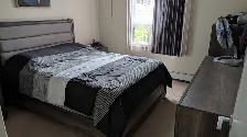MOVING OUT OF PROVINCE SALE - Photo 4