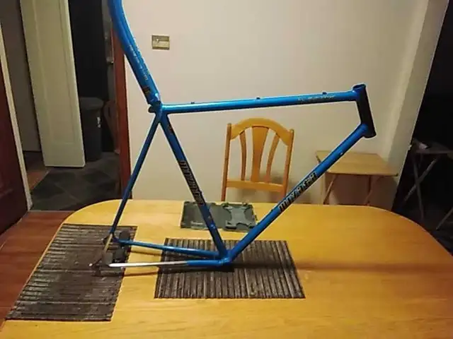 Team Miyata frameset.
