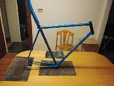 Team Miyata frameset.