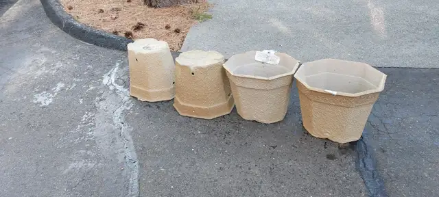 Winter plant or flower boxes