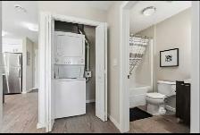 2 Bedroom 2 Bathroom   Den - Photo 4