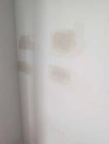 Master Drywall Specialist Drywall & Taping - Photo 4