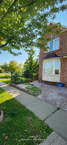 Walk-out Basement For Rent - Photo 2