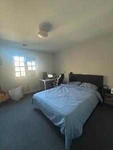 Nov 1 Sublet – Furnished Room Near Western, Parking Included - Photo 2