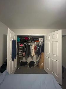 Nov 1 Sublet – Furnished Room Near Western, Parking Included - Photo 4