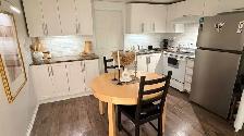 one bedroom apt semi basement for rent - Photo 10