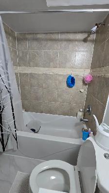 Basement for Rent (All Utilities and WIFI Included) - Photo 5