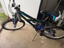 Bicycle for kids