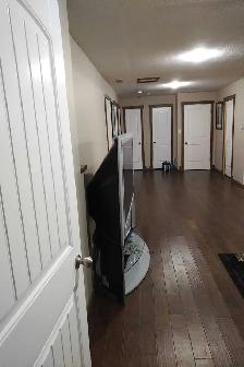BASEMENT SUITE FOR RENT - Photo 9