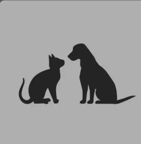 Dog Walker and Pet Sitter