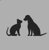 Dog Walker and Pet Sitter