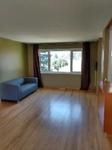 House in Acadia for Rent - Photo 3