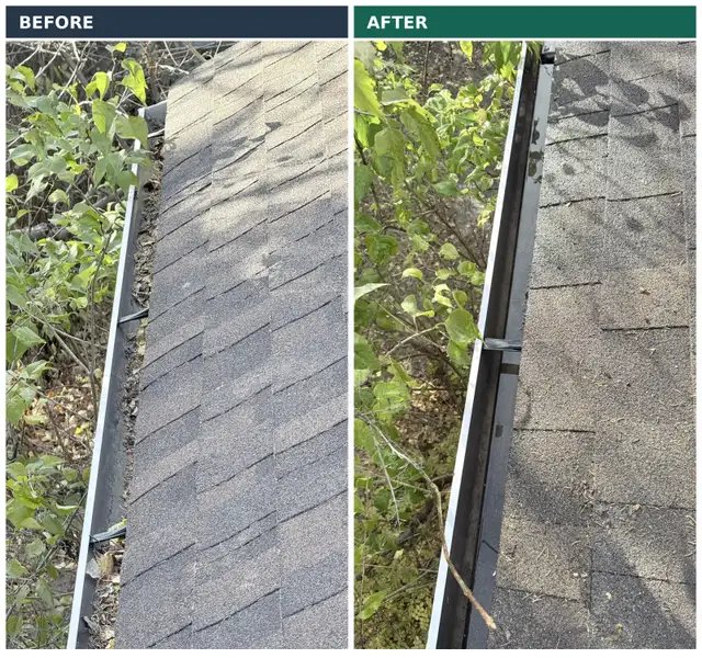 Gutter & Window Cleaning Calgary | Insured | Svarog Construction