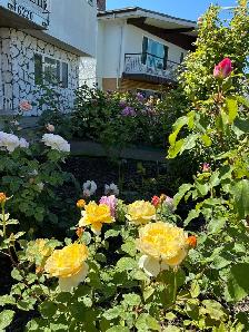 $720 Vancouver Central Location Private Single Furnished Room - Photo 9