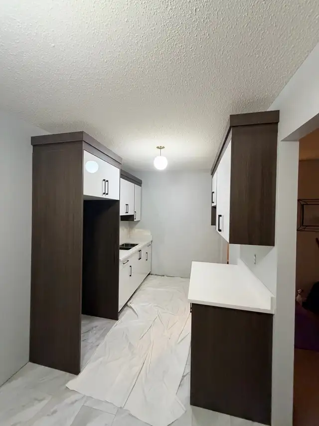 kitchen cabinets