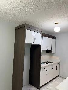 kitchen cabinets - Photo 2