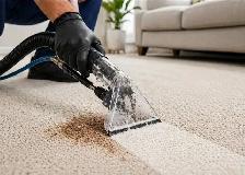 ✨ PURESTEP CLEANING – Professional Carpet Cleaning in Calgary! - Photo 2