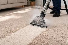 ✨ PURESTEP CLEANING – Professional Carpet Cleaning in Calgary! - Photo 3