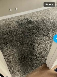 ✨ PURESTEP CLEANING – Professional Carpet Cleaning in Calgary! - Photo 5