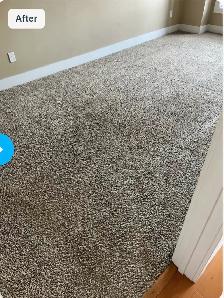 ✨ PURESTEP CLEANING – Professional Carpet Cleaning in Calgary! - Photo 6