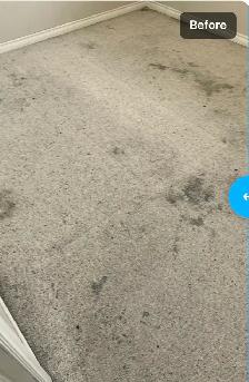 ✨ PURESTEP CLEANING – Professional Carpet Cleaning in Calgary! - Photo 7
