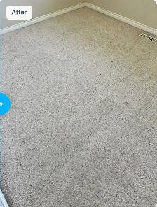 ✨ PURESTEP CLEANING – Professional Carpet Cleaning in Calgary! - Photo 8