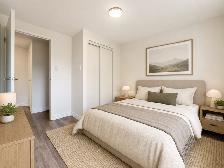 2 Bedroom Apartment for Rent - 1549-1566 Trossacks Avenue - Photo 6