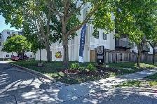 2 Bedroom Apartment for Rent - 1549-1566 Trossacks Avenue - Photo 20