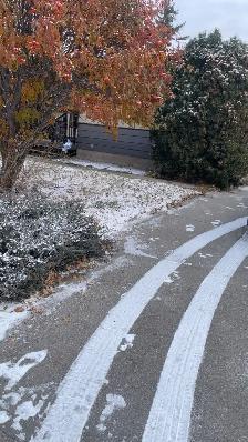 Snow Removal - Photo 3