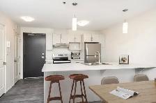 Park Place - 1 Bed - Levine C - Winnipeg - Photo 6