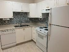 60  ADULT ONLY CONDO in Red Deer! Amazing Amenities! - Photo 2