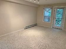 60  ADULT ONLY CONDO in Red Deer! Amazing Amenities! - Photo 3