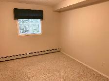 60  ADULT ONLY CONDO in Red Deer! Amazing Amenities! - Photo 4