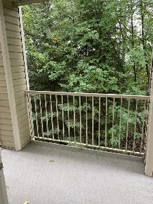 60  ADULT ONLY CONDO in Red Deer! Amazing Amenities! - Photo 7