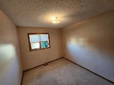 4 Bed, 2.5 Bath House in Morrisroe! - Photo 11