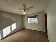 4 Bed, 2.5 Bath House in Morrisroe! - Photo 12