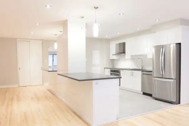 Renovated 2 bedroom apartment near McGill - ID 1719