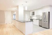 Renovated 2 bedroom apartment near McGill - ID 1719